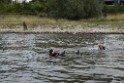 Uebung BF Taucher und Presse Koeln Zoobruecke Rhein P082